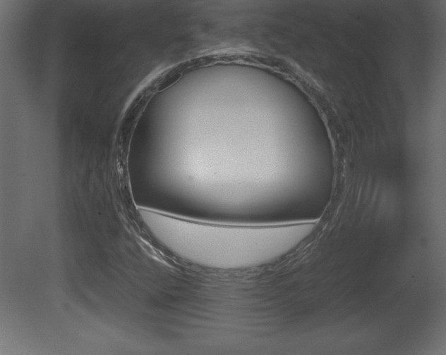 X0000081451400200701121002