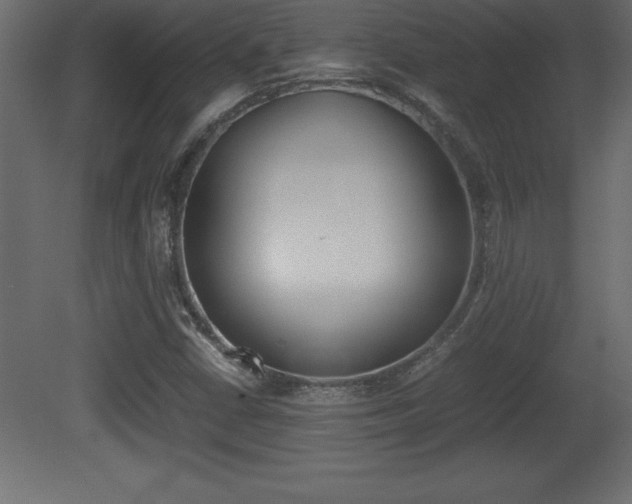 X0000081451402200701121003