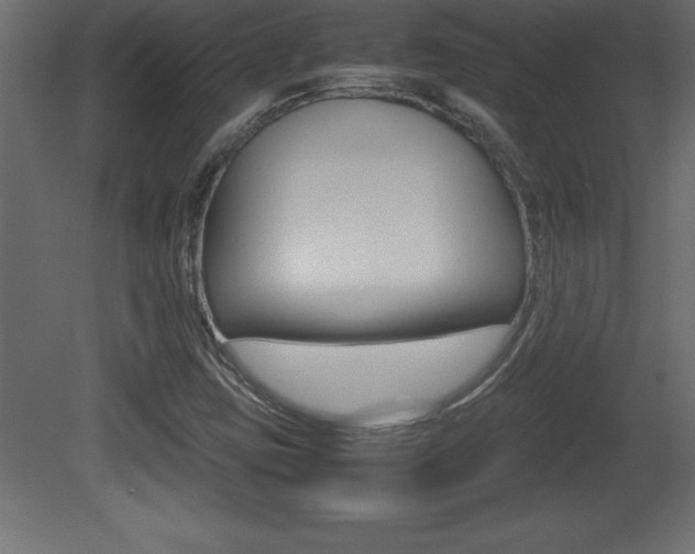 X0000081451403200701121003