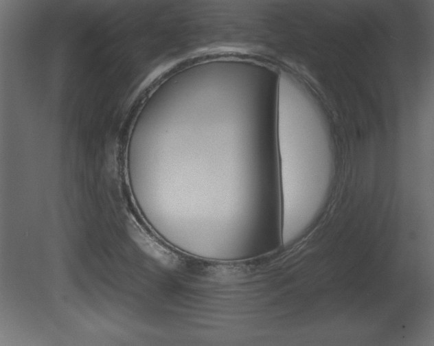 X0000081451404200701121003