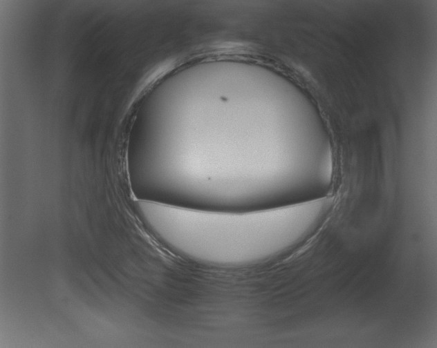 X0000081451405200701121003