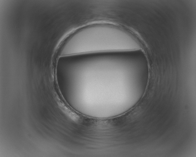 X0000081451408200701121003