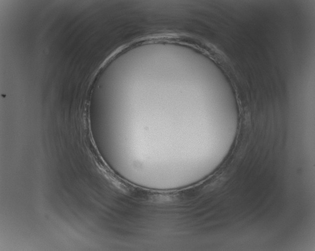 X0000081451409200701121003