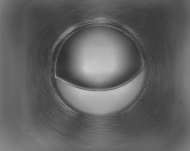 X0000081451410200701121003