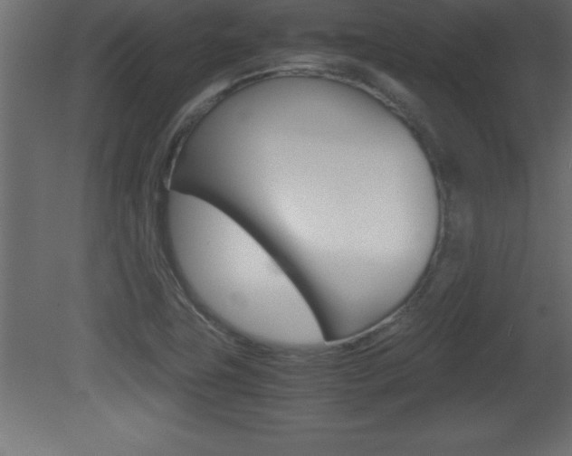 X0000081451411200701121003