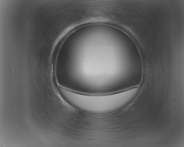 X0000081451414200701121003