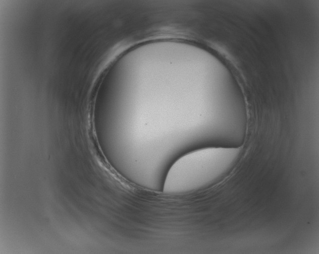 X0000081451415200701121003