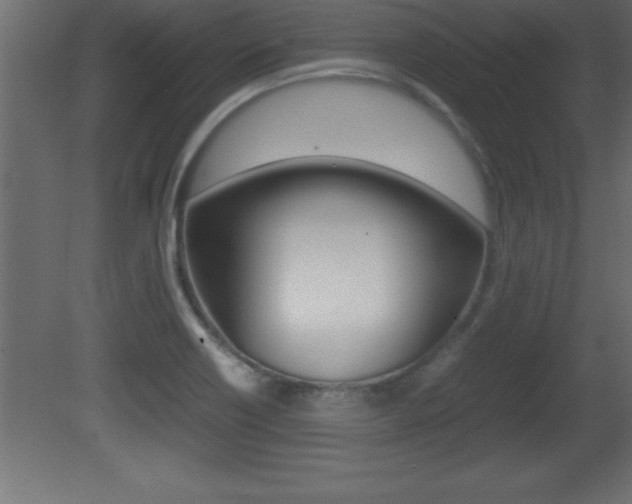 X0000081451418200701121003