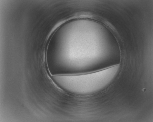 X0000081451420200701121003
