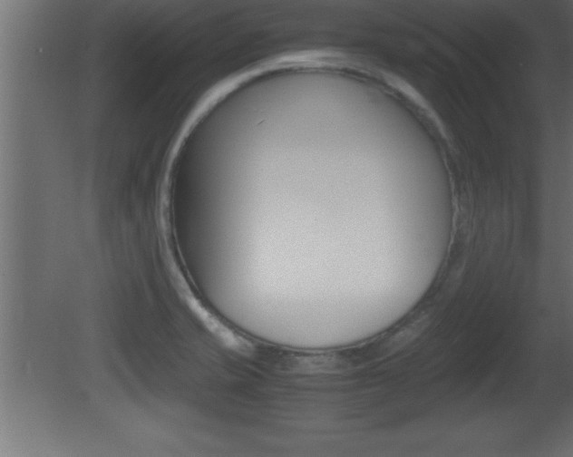 X0000081451421200701121003