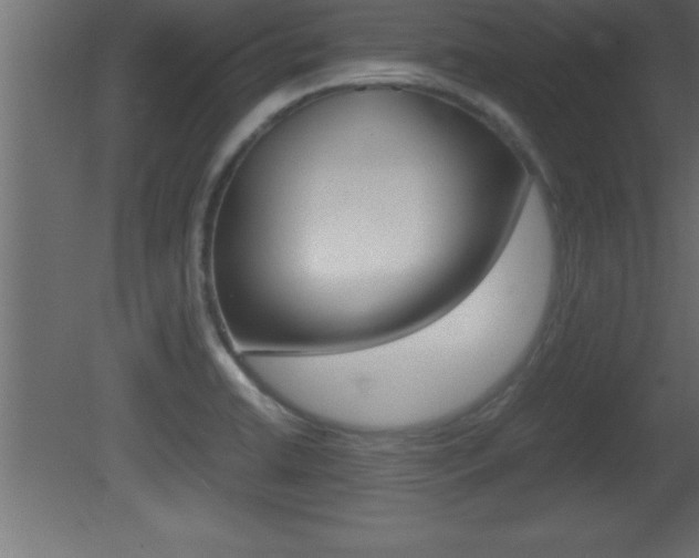 X0000081451422200701121003