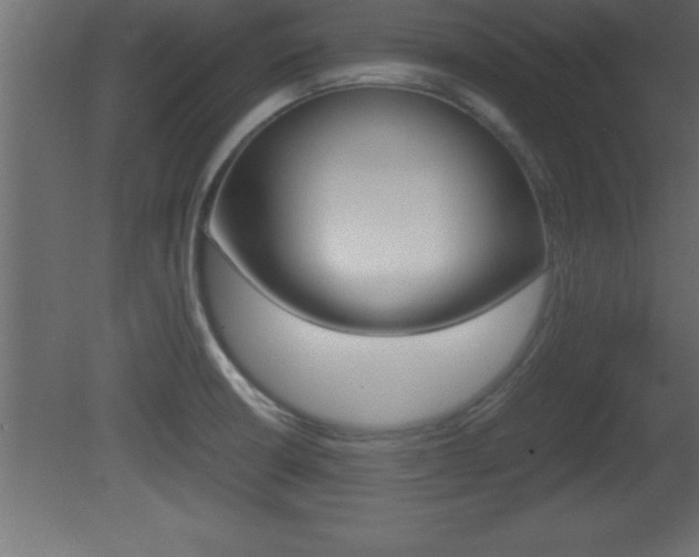 X0000081451426200701121003
