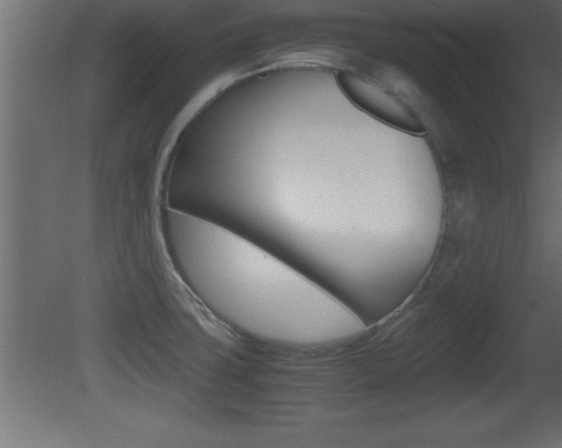 X0000081451427200701121003