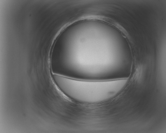 X0000081451428200701121003