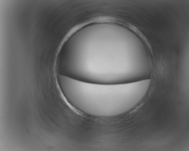 X0000081451429200701121003