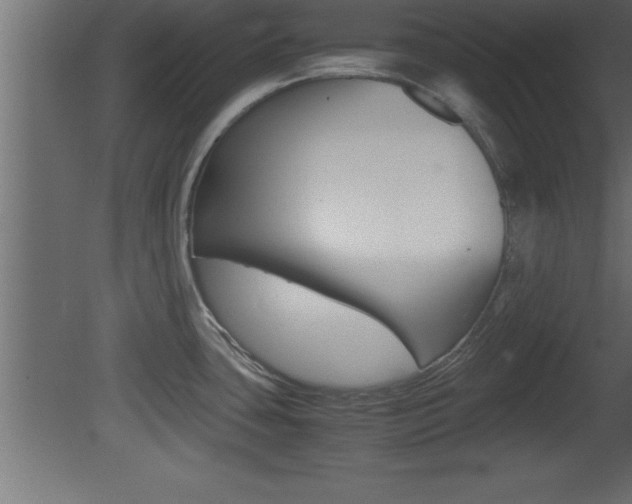 X0000081451435200701121003