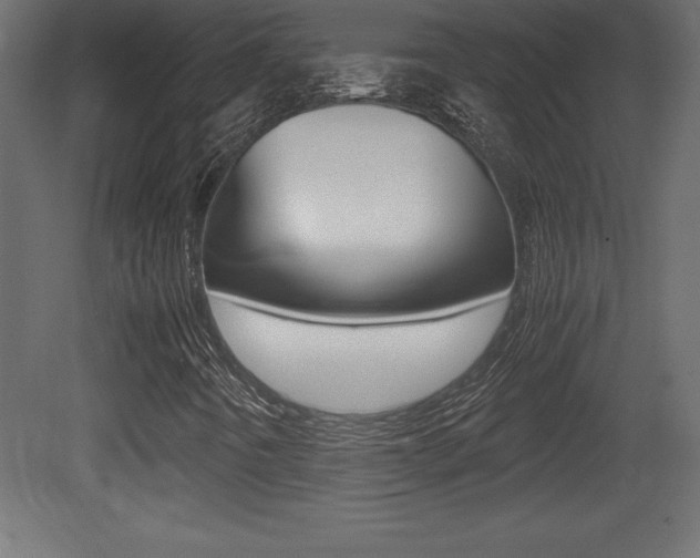 X0000081451442200701121002