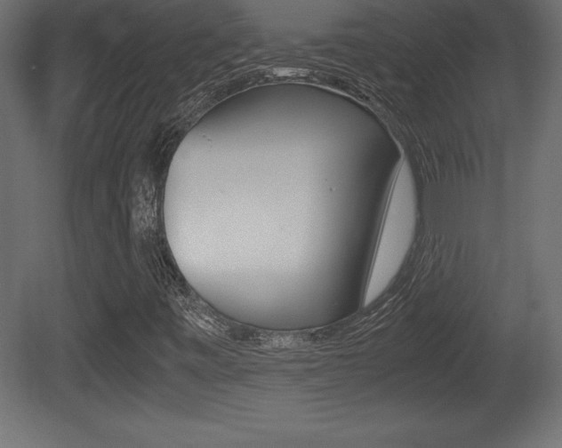 X0000081451443200701121002