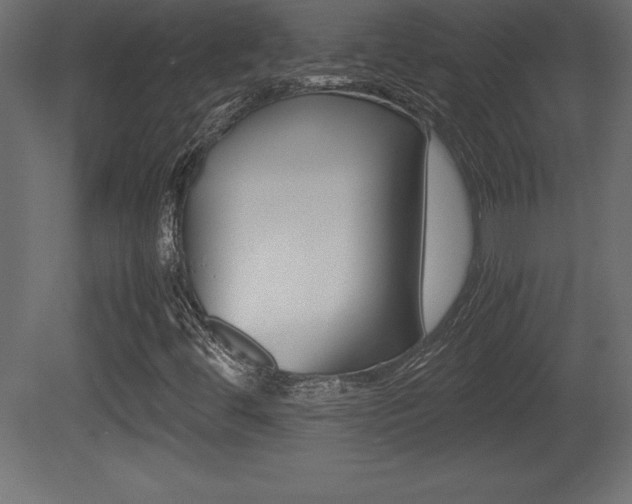 X0000081451444200701121002