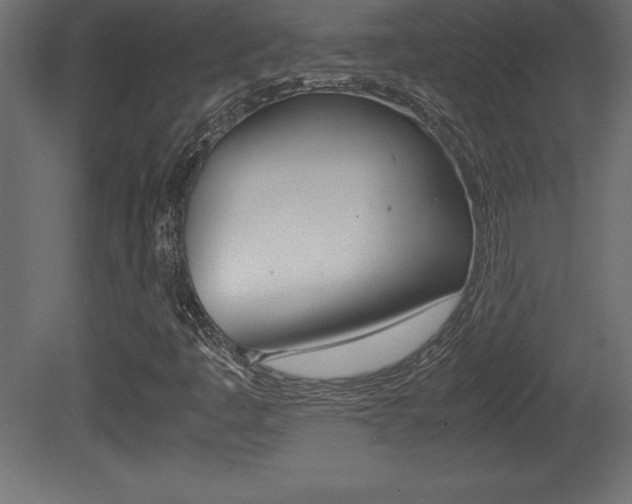 X0000081451445200701121002