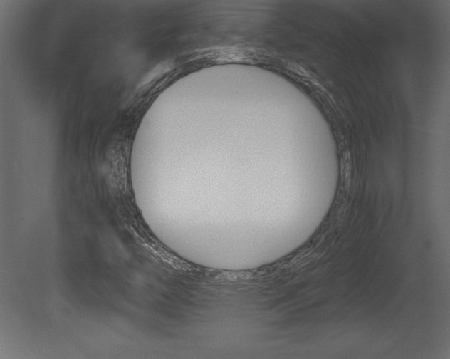X0000081451446200701121002