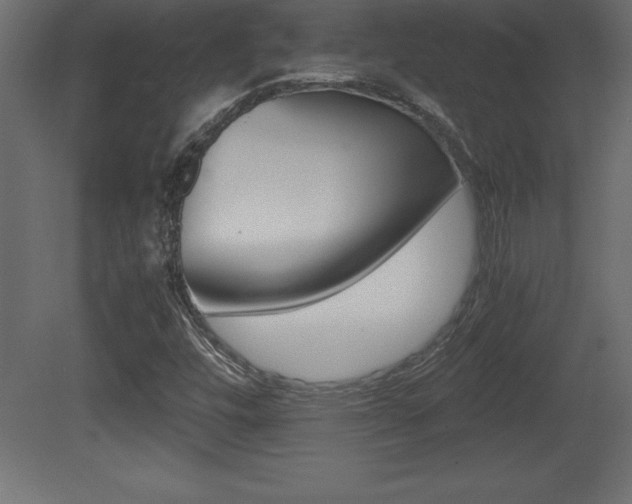 X0000081451448200701121002