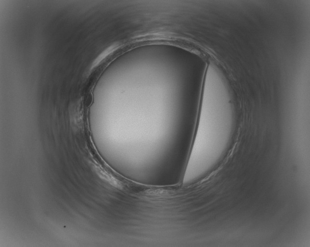 X0000081451450200701121002