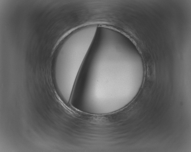 X0000081451452200701121002