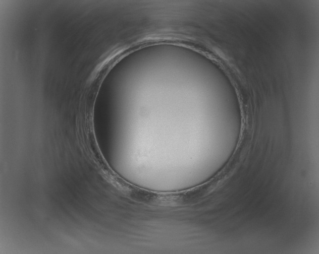 X0000081451453200701121002