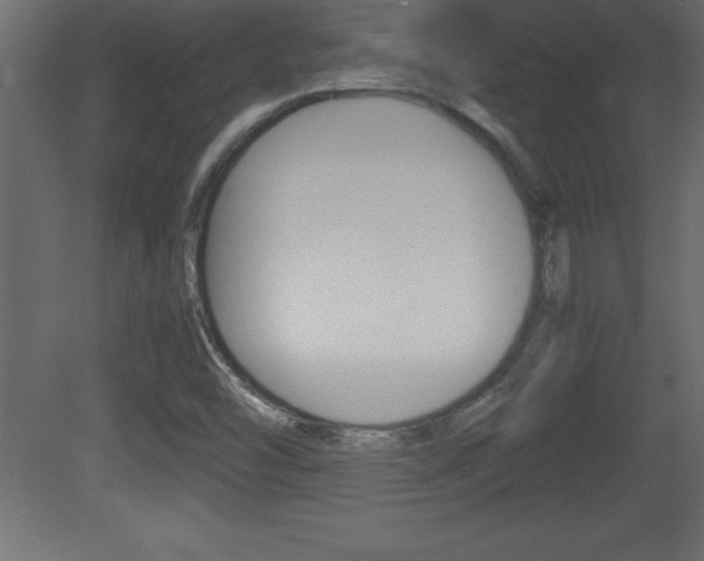 X0000081451454200701121002