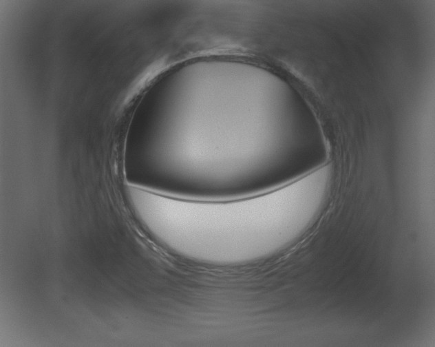 X0000081451455200701121002