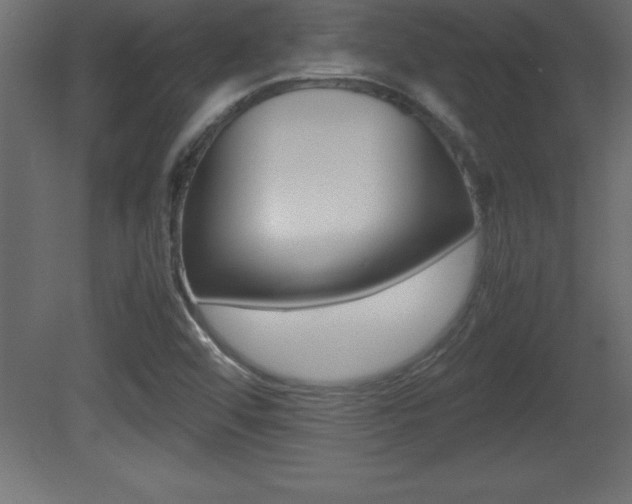 X0000081451456200701121002