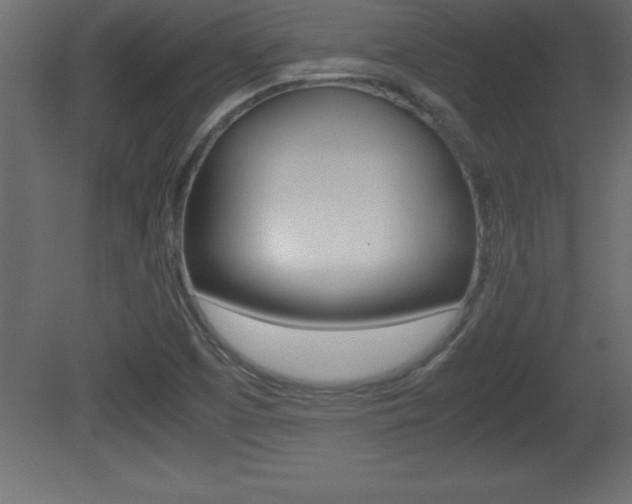 X0000081451457200701121002