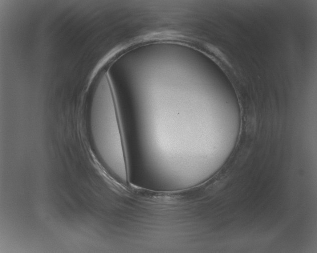 X0000081451458200701121002