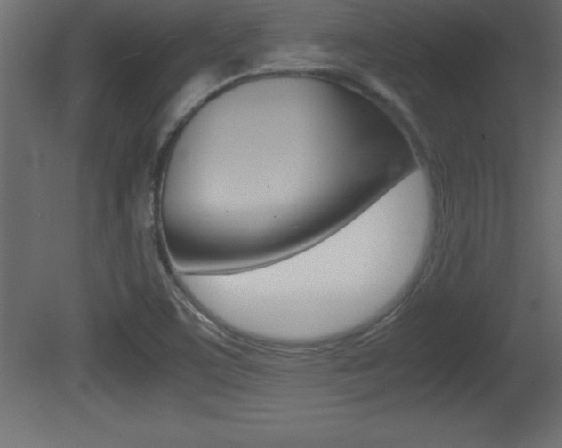 X0000081451459200701121002