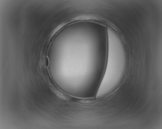 X0000081451465200701121002