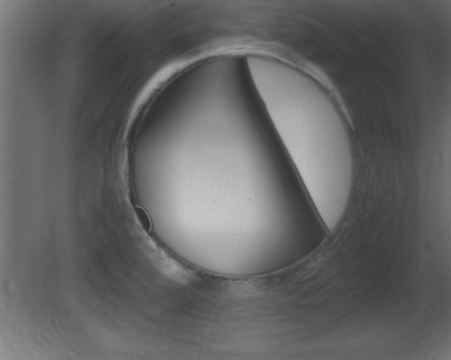 X0000081451472200701121002
