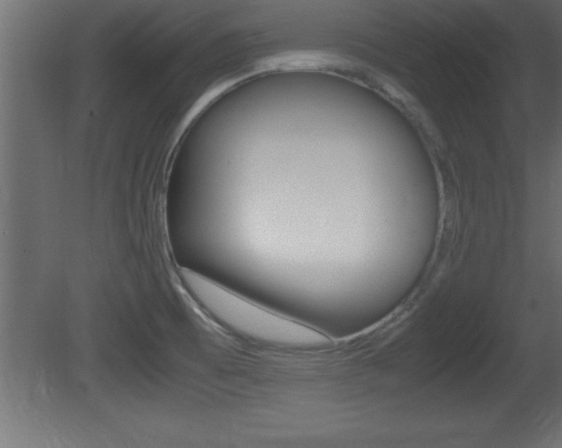 X0000081451473200701121002