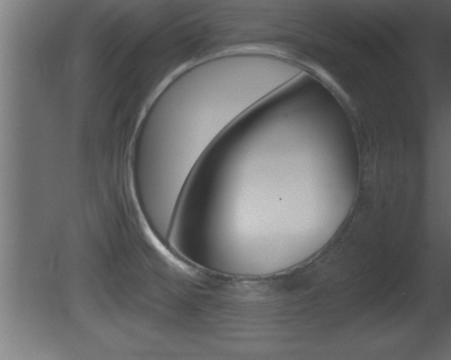X0000081451476200701121002
