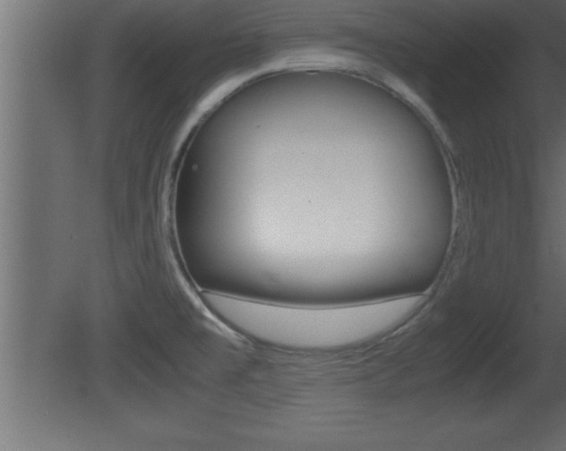 X0000081451477200701121002
