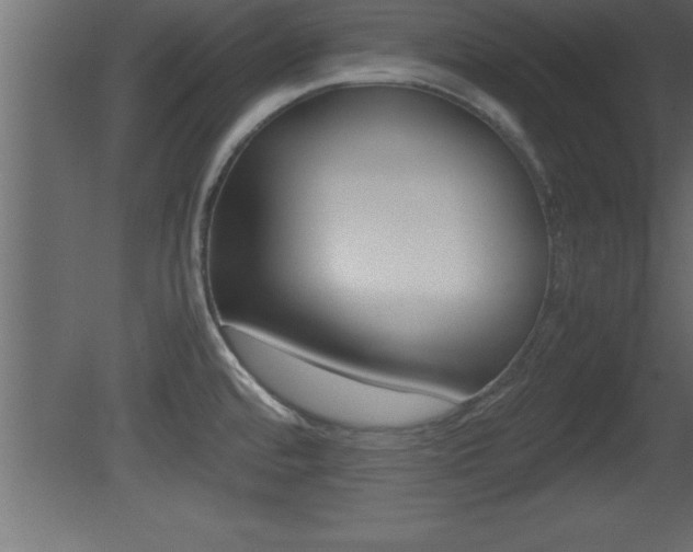 X0000081451480200701121002