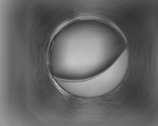 X0000081451485200701121002