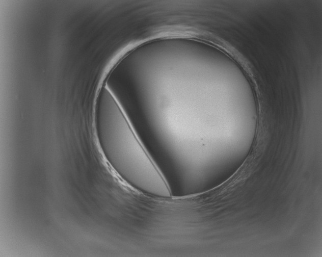 X0000081451488200701121002