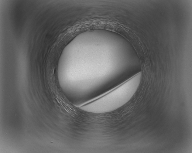 X0000081451489200701121001