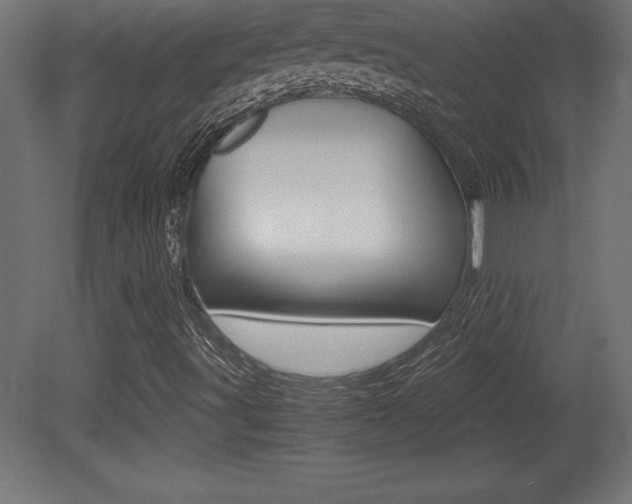 X0000081451491200701121001