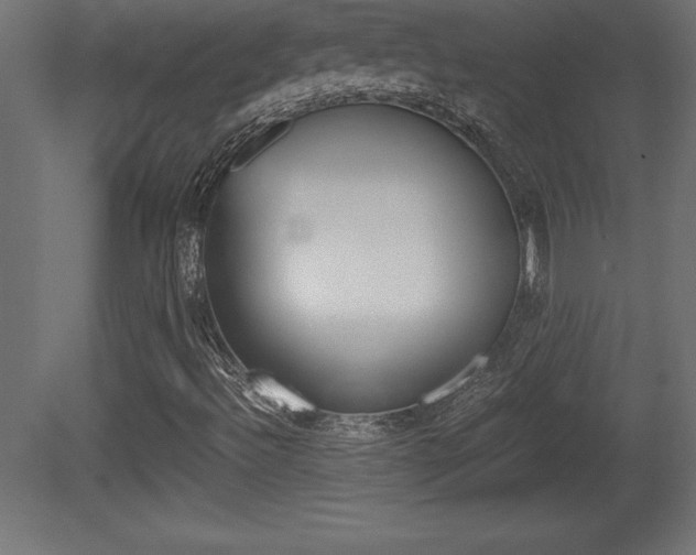 X0000081451492200701121001