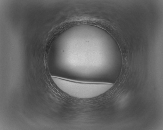X0000081451493200701121001