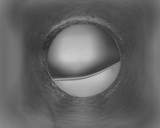 X0000081451494200701121001