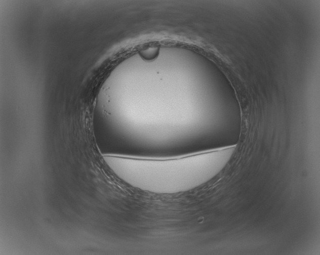 X0000081451495200701121001