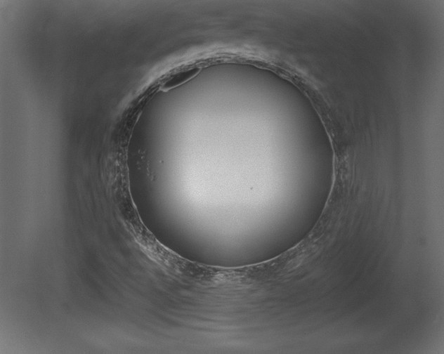 X0000081451496200701121001